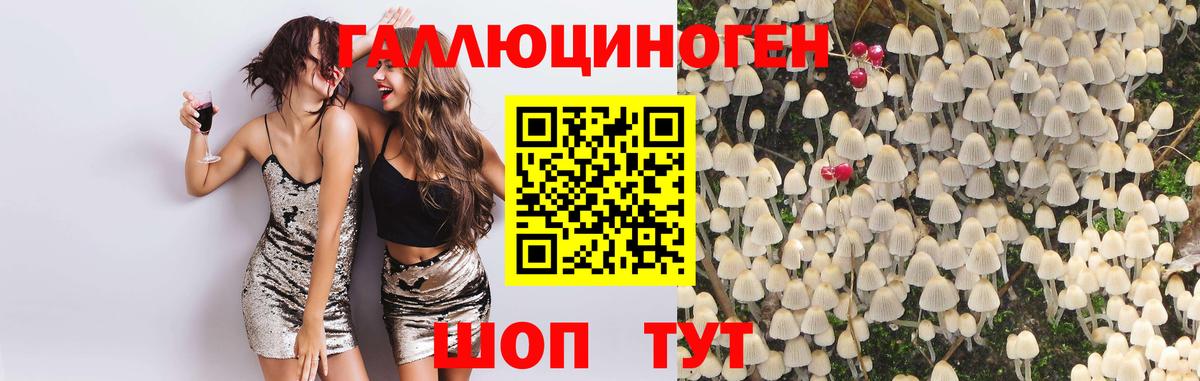 Псилоцибиновые грибы мухоморы Наро-Фоминск